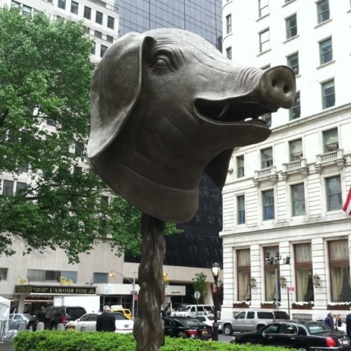 Media_httpimagesinsta_cspzg