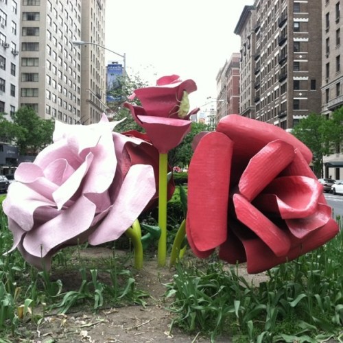 Media_httpimagesinsta_ggdzd